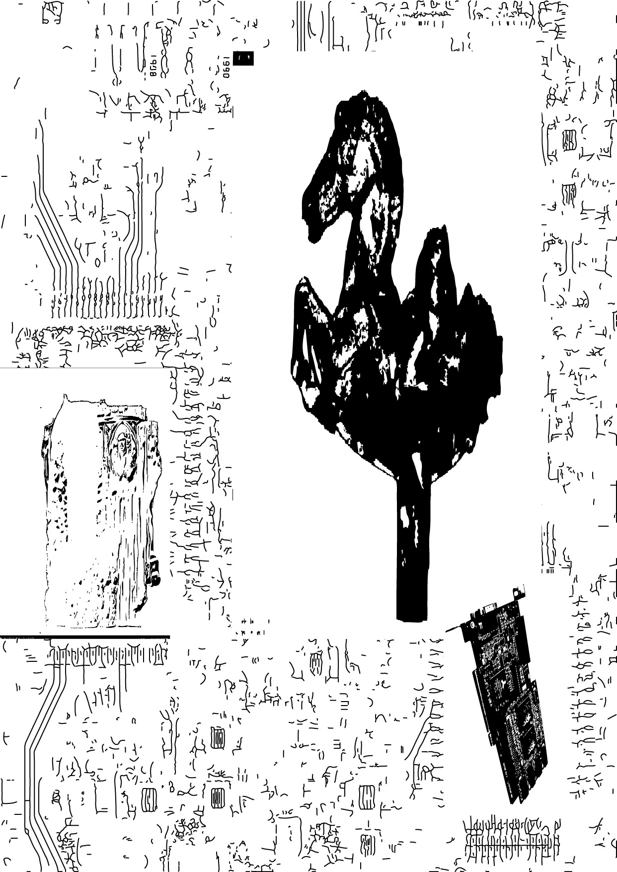 Image B1